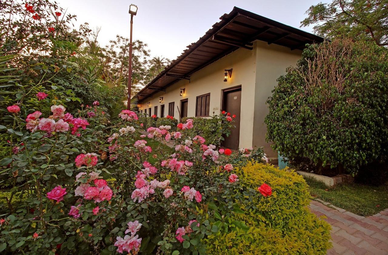 Hill 'N' You - A Boutique Garden Resort Mount Abu Exterior photo